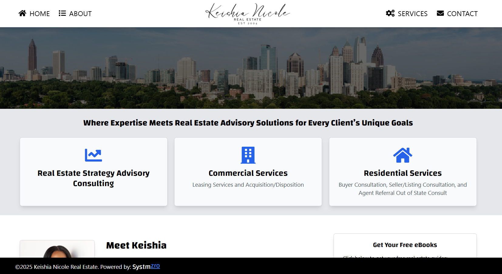 Portfolio screenshot